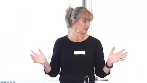 Thumbnail for Risvangen i Århus – et eksempel på hvordan man separerer på terræn v/ Anne Laustsen, Fagchef for klimatilpasning, Århus Vand og Gitte Normand Andersen, Afdelingsleder Teknik og Miljø, Aarhus Kommune