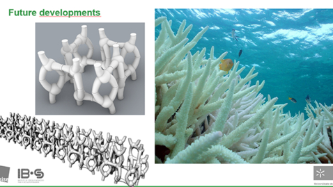Thumbnail for Previous experience and recent developments on materials and construction systems for Artificial Reefs and Ecosystems Restoration in Southwestern Europe