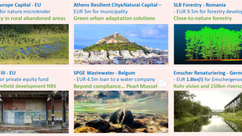 Thumbnail for EUs erfaringer med alternativ finansiering af biodiversitet
