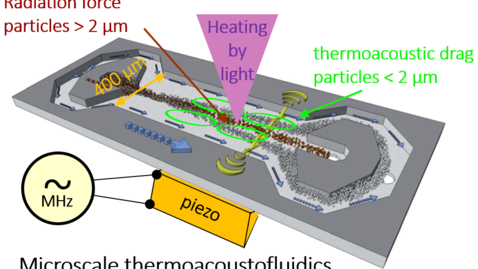 Thumbnail for Termoakustiske effekter i lab-on-a-chip systemer