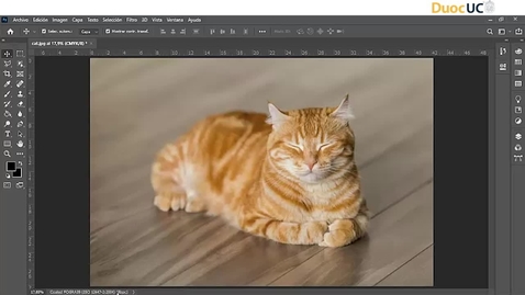 Miniatura para Conceptos técnicos y teoría de Photoshop