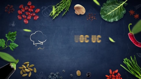 Miniatura para Pulmay  Recetario Duoc UC Cocina Chilena