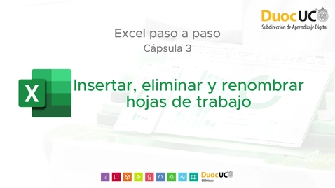 Miniatura para Cápsula 3. Insertar, eliminar y renombrar hojas de trabajo