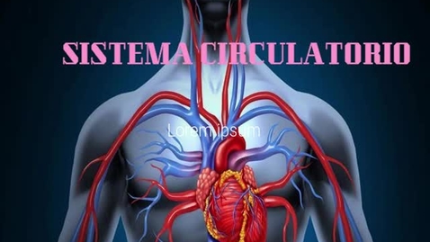 Miniatura para Sistema Circulatorio