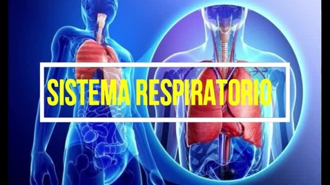 Miniatura para Sistema Respiratorio