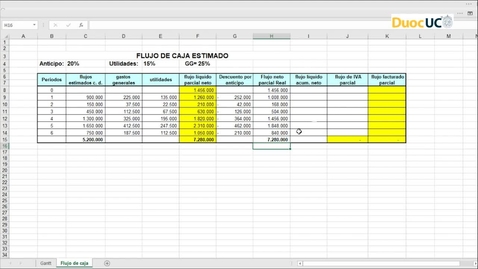 Miniatura para Flujo de Caja