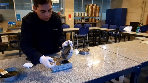 Miniatura para Ensayo rilem