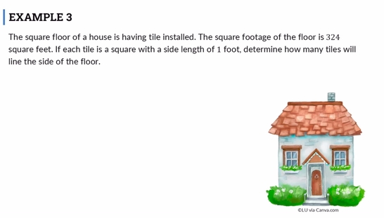 Lesson: Perfect Squares (Segment 4)