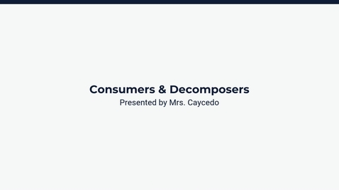 Thumbnail for Lesson 2: Consumers &amp; Decomposers