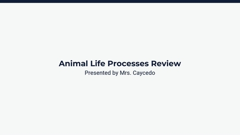 Thumbnail for Lesson 4: Animal Life Processes Review