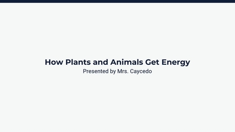 Thumbnail for 2.7T How Plants and Animals Get Energy