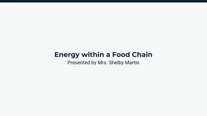 Lesson 2: Energy Within a Food Chain