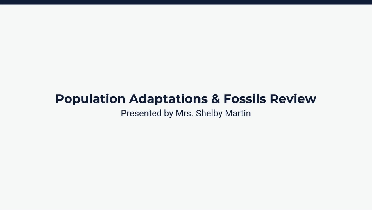 Lesson 4: Fossil Review