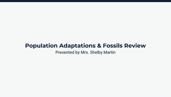 Lesson 4: Fossil Review