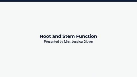Thumbnail for Lesson 2: Stem Function