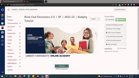 Thumbnail for Badging Tutorial