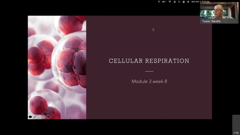 Thumbnail for Bio 2 LL 11-1