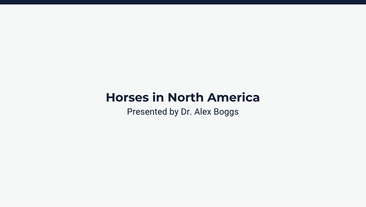 Horses in North America