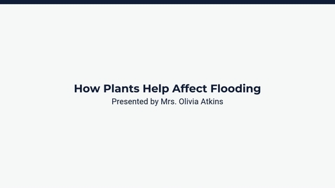 Thumbnail for Lesson 2: How Plants Help Affect Flooding