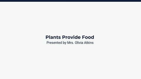 Thumbnail for Lesson 4: Plants Provide Food