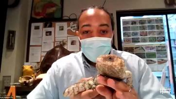 Webinar: Reptile Discovery Center Virtual Tour with Kyle Miller |  Smithsonian National Museum of Natural History