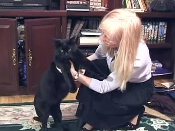 Golosa Book 1 Lesson 2 Video What I Have Mandala Collections Audio Video