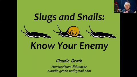 Thumbnail for Master Gardener Webinar Series - Slug Hunting