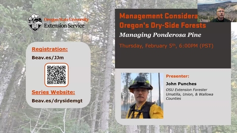 Thumbnail for Management Considerations for Oregon's Dry-side Forests: Ponderosa Pine