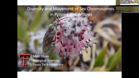 Thumbnail for BPP Spring 2025 Seminar Series: Matt Olson