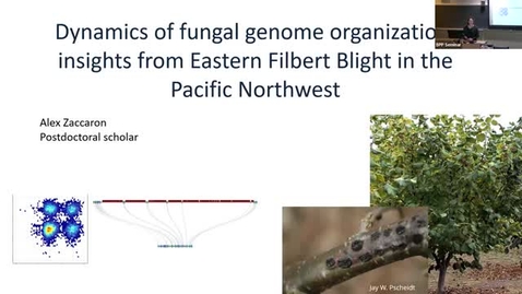 Thumbnail for BPP Spring 2025 Seminar Series:  Alex Zaccaron