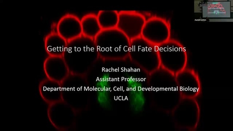Thumbnail for BPP Spring 2025 Seminar Series: Rachel Shahan
