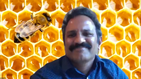 Thumbnail for Let's talk bees, round 2! All things PESTS!