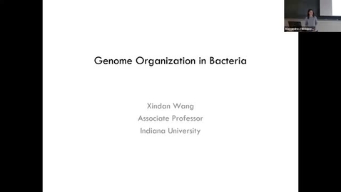 Thumbnail for BPP Winter 2025 Seminar Series: Xindan Wang