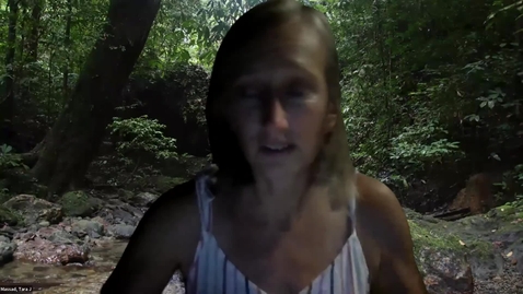 Thumbnail for Gorongosa Info Session