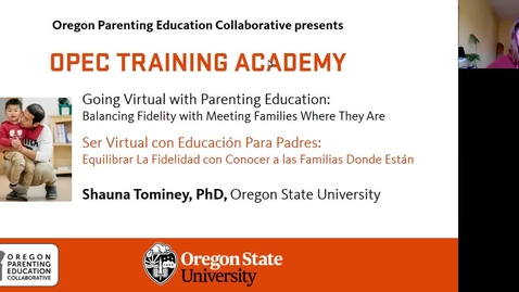 Thumbnail for Going Virtual with Parenting Education: Balancing Fidelity with Meeting Families Where They Are