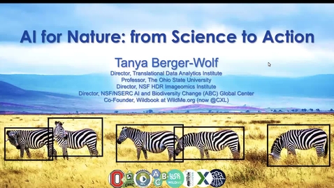 Thumbnail for AI Seminar 124: Tanya Berger-Wolf
