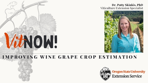 Thumbnail for Vit Now! Improving Wine Grape Crop Estimation