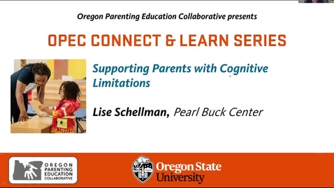 Thumbnail for Supporting Parents with Cognitive Limitations