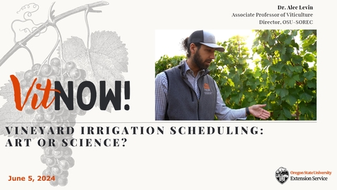 Thumbnail for Vit Now! Vineyard Irrigation Management:  Art or Science?