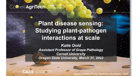 Thumbnail for entry BPP Spring 2022 Seminar Series: Dr. Katie Gold