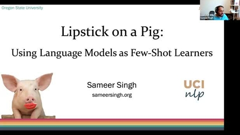 Thumbnail for entry AI Seminar 48: Sameer Singh