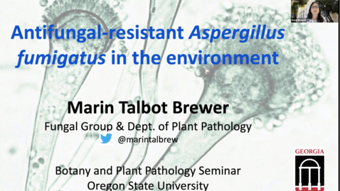 Thumbnail for BPP Fall Seminars 2021: Marin Talbot Brewer