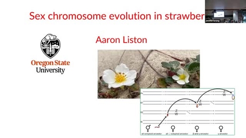 Thumbnail for BPP 2025 Fall Seminar: Aaron Liston