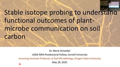 Thumbnail for BPP Spring 2025 Seminar Series: Marie Schaedel