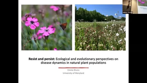 Thumbnail for BPP Winter Seminar: Emme Bruns