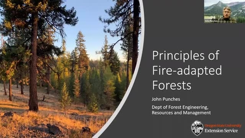 Thumbnail for entry Principles of Fire-adapted Forests