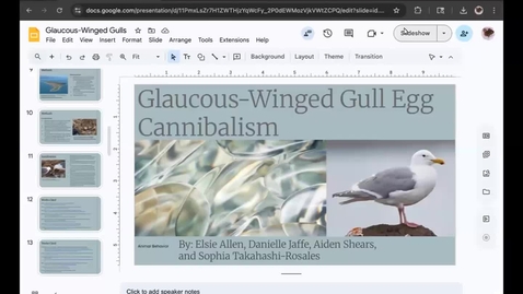 Thumbnail for Allen, Elsie's Zoom Meeting