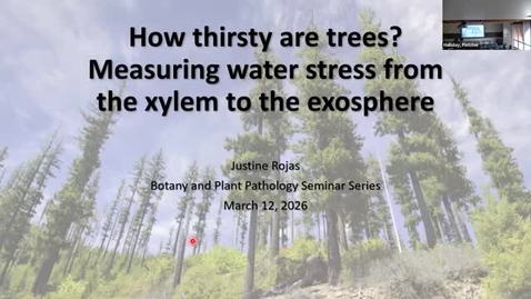 Thumbnail for BPP Winter Seminar: Justine Rojas