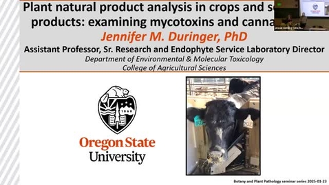 Thumbnail for BPP Winter 2025 Seminar Series: Jennifer Duringer