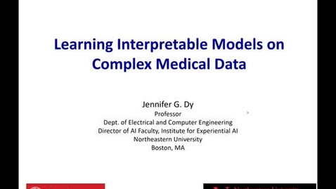Thumbnail for AI Seminar 55: Jennifer G. Dy